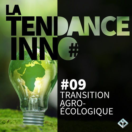 Lire la suite à propos de l’article #09 TRANSITION AGRO-ECOLOGIQUE